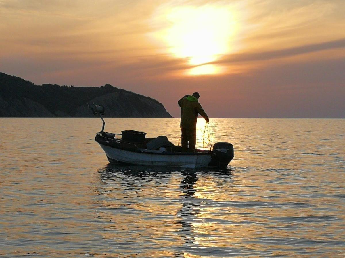 Millenca Izola